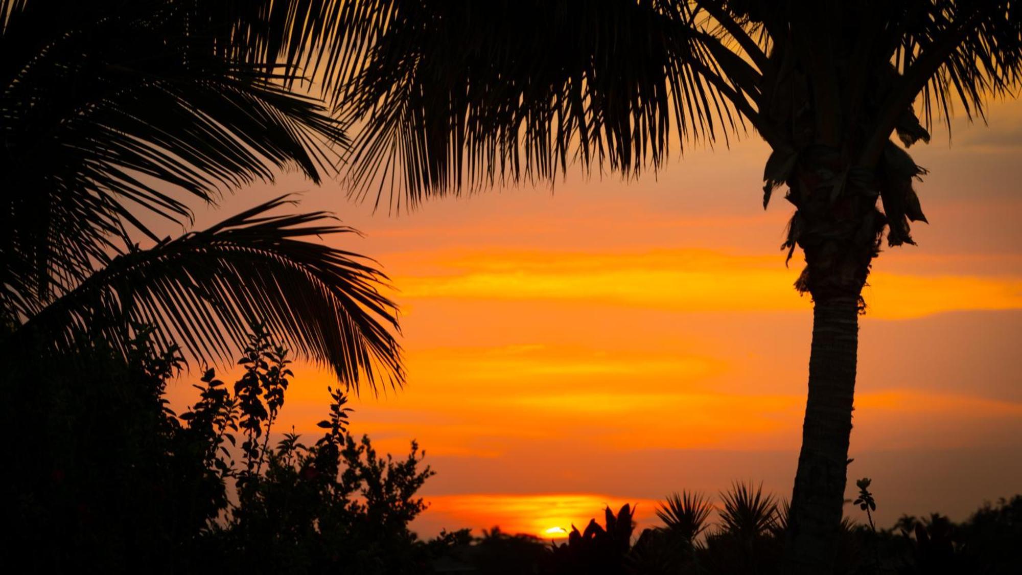 Starry Nights Dreamy 4Br Ainamalu Home With Mountain View Waikoloa Buitenkant foto