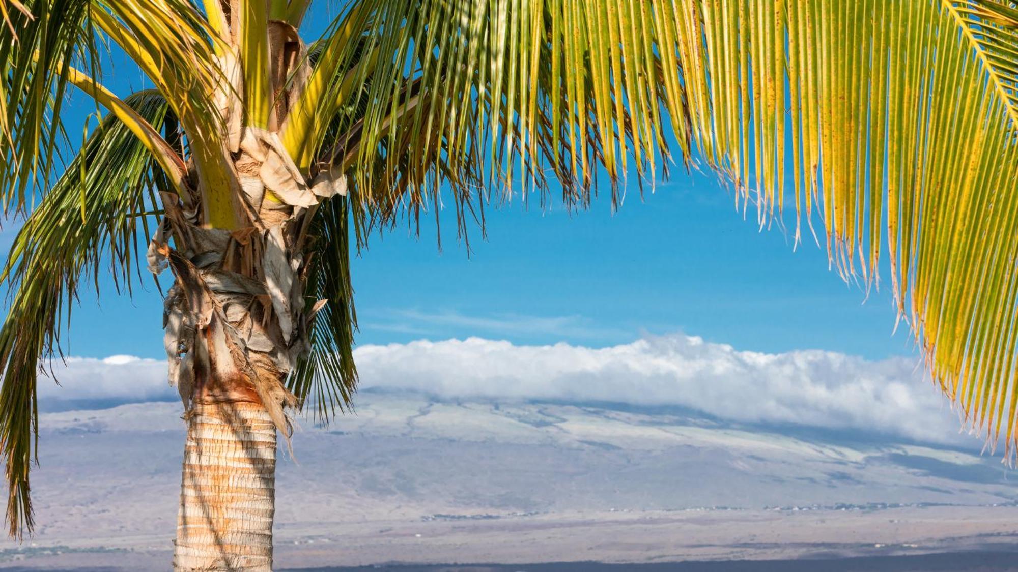 Starry Nights Dreamy 4Br Ainamalu Home With Mountain View Waikoloa Buitenkant foto