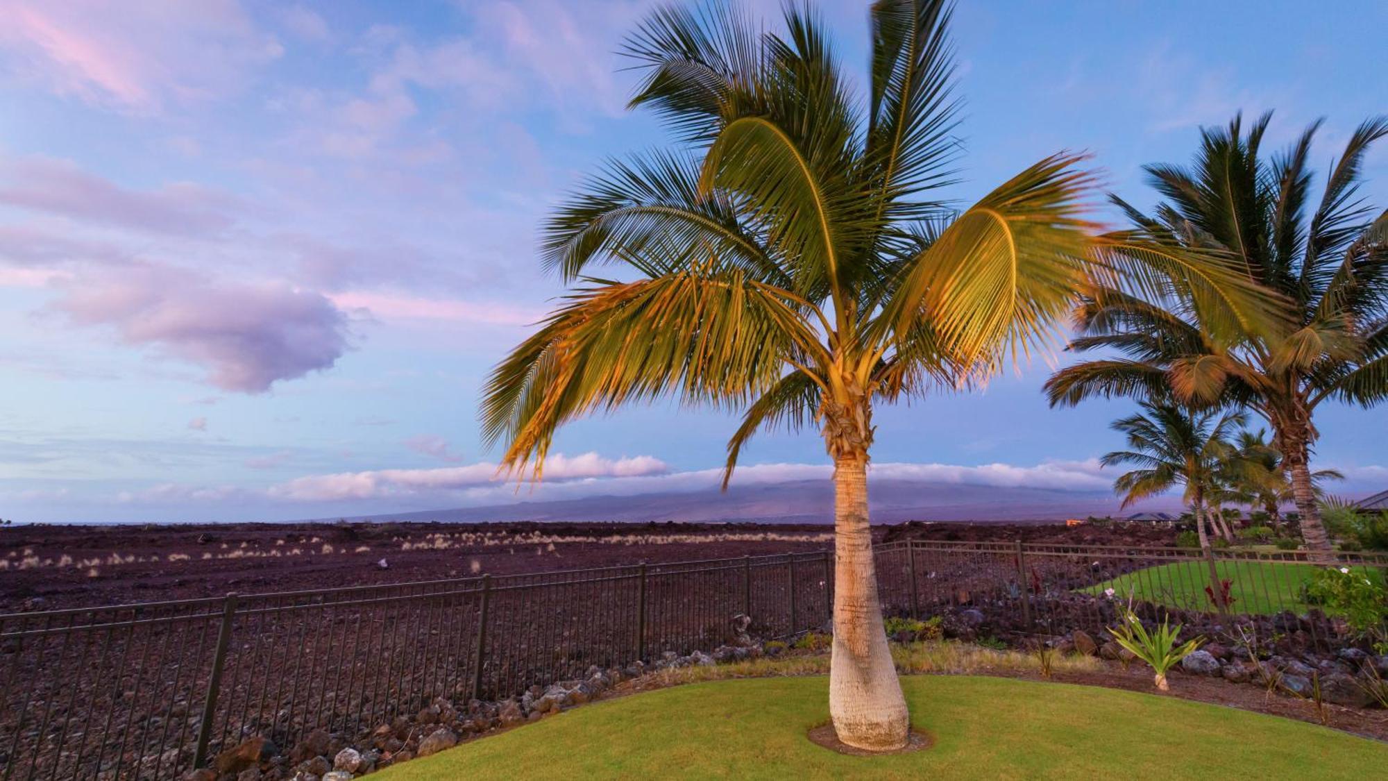 Starry Nights Dreamy 4Br Ainamalu Home With Mountain View Waikoloa Buitenkant foto